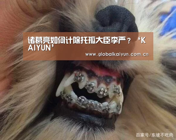 开云体育官方入口