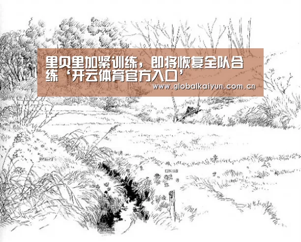 开云赛事资讯