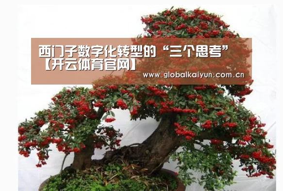 开云官网