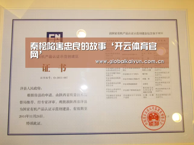 秦桧陷害忠良的故事‘开云体育官网’(图4)