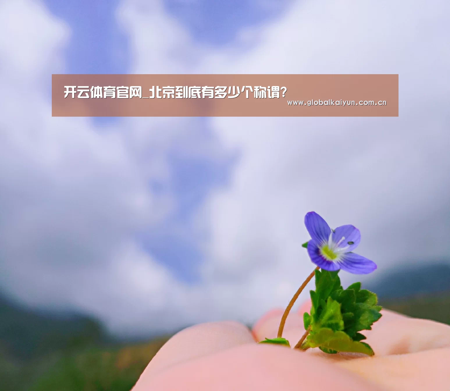 开云体育官网_北京到底有多少个称谓?(图3) 开云体育官方入口