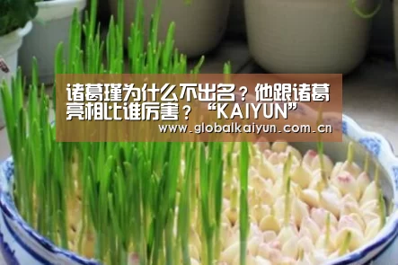 诸葛瑾为什么不出名?他跟诸葛亮相比谁厉害?“KAIYUN”(图3) 开云体育官网