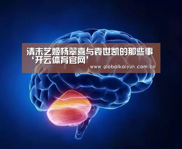 开云赛事资讯