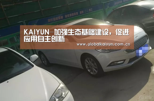 KAIYUN-加强生态基础建设,促进应用自主创新(图1) 开云体育官网