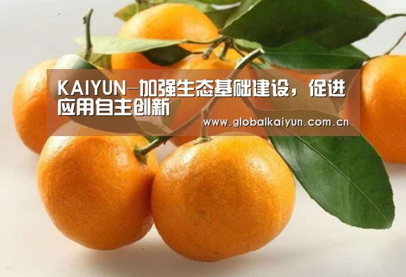 KAIYUN-加强生态基础建设,促进应用自主创新(图4) 开云体育官方入口