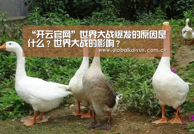 “开云官网”世界大战爆发的原因是什么?世界大战的影响?(图3) 开云官网