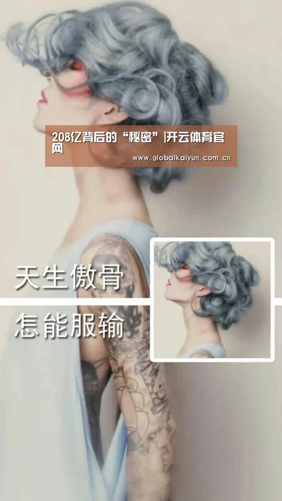 208亿背后的“秘密”|开云体育官网(图1) 208亿背后的“秘密”|开云体育官网(图1)