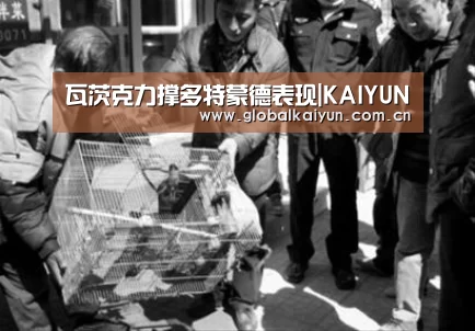 瓦茨克力撑多特蒙德表现|KAIYUN(图3) 开云体育官方入口