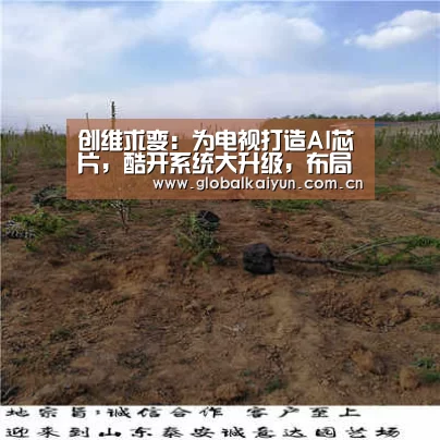 创维求变：为电视打造AI芯片，酷开系统大升级，布局4K内容：开云体育官网(图1)