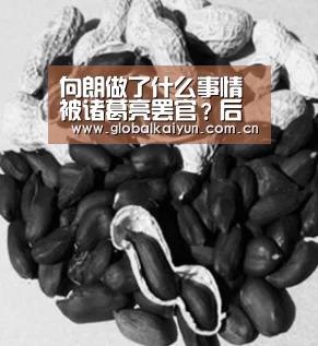 向朗做了什么事情被诸葛亮罢官?后开创个人藏书开放风潮“开云官网”(图1) 开云体育官网