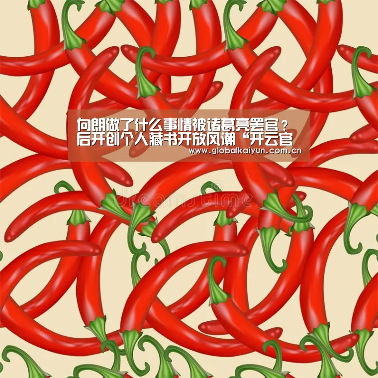 向朗做了什么事情被诸葛亮罢官?后开创个人藏书开放风潮“开云官网”(图3) 开云体育官网