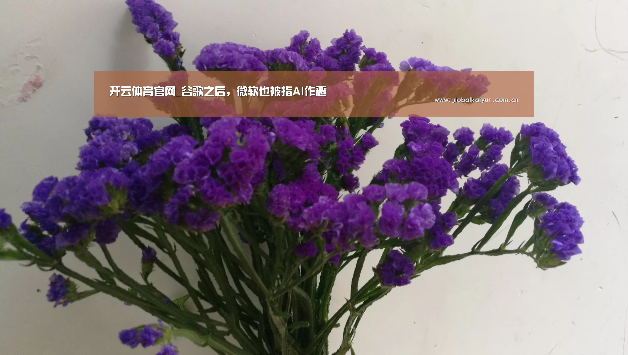 开云体育官网