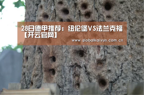 28日德甲推荐:纽伦堡VS法兰克福【开云官网】(图4) 开云体育官网