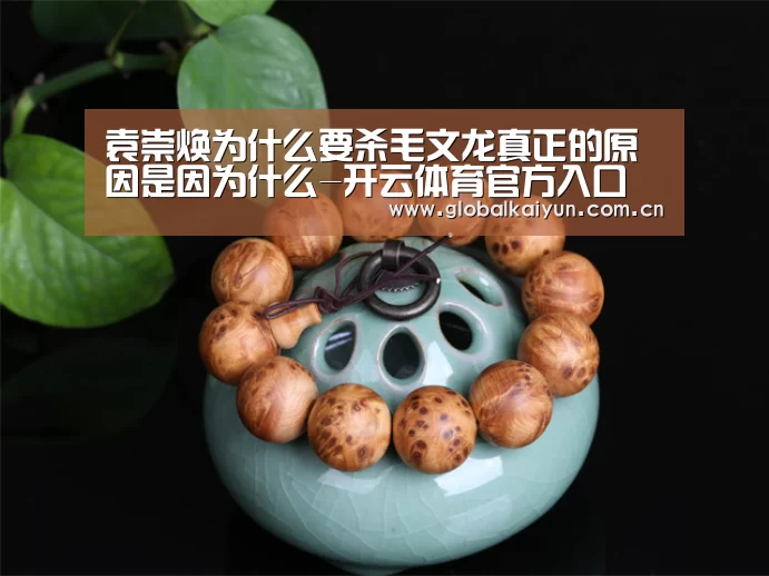 袁崇焕为什么要杀毛文龙真正的原因是因为什么-开云体育官方入口(图1) 开云体育官方入口