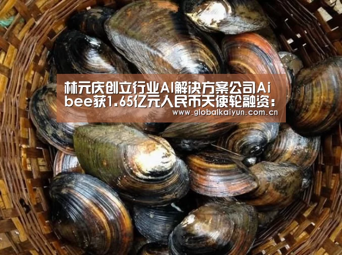 开云体育官方入口